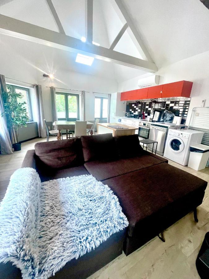 Appartements De Charme Dadou Mons Belgium Exterior foto